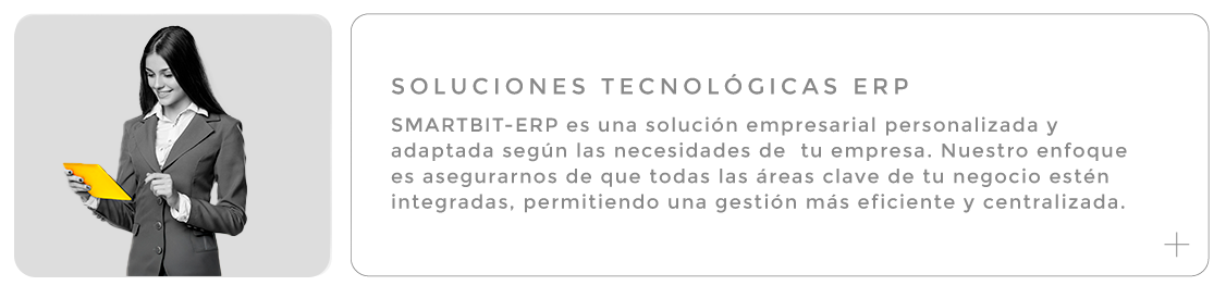 Soluciones Tecnológicas (ERP)